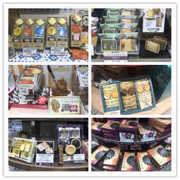 游學見聞 隨中國食品協會赴日考察，探索餅干產業的創新與機遇